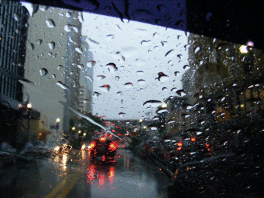 Wet Taxi Ride, Downtown Miami, Florida, USA