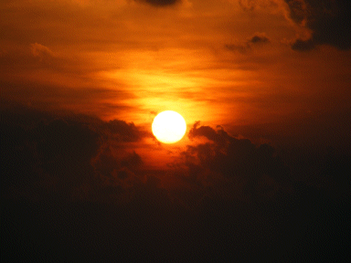 The Florida Sun, USA
