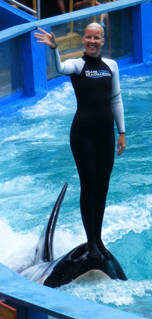 Best of Friends - Miami Seaquarium, Florida, USA