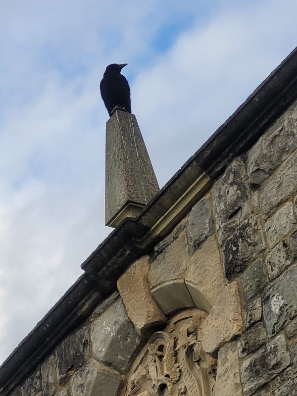 Bird Posing - Kingswood House "Bovril Castle", Dulwich