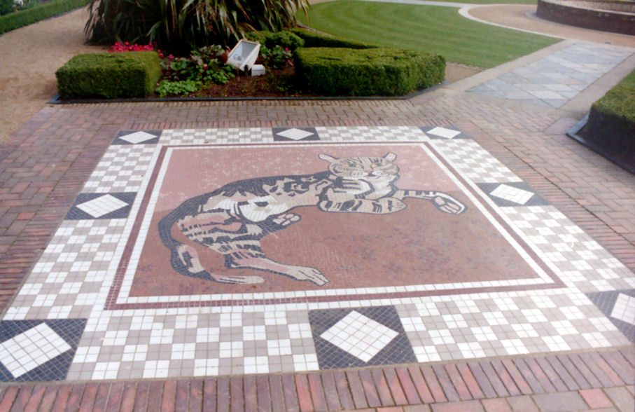 One of the Cats of Belfast Castle, Northern Ireland
