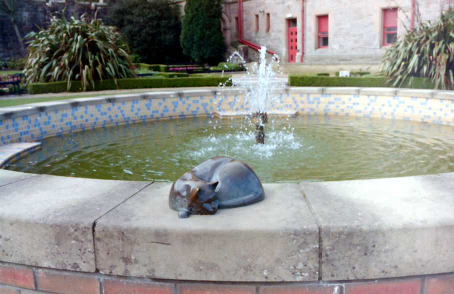 Another Belfast Castle Cat - Belfast, County Antrim, Northern Ireland