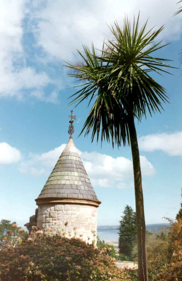 Unlikely Palm Tree - Belfast, County Antrim, Northern Ireland