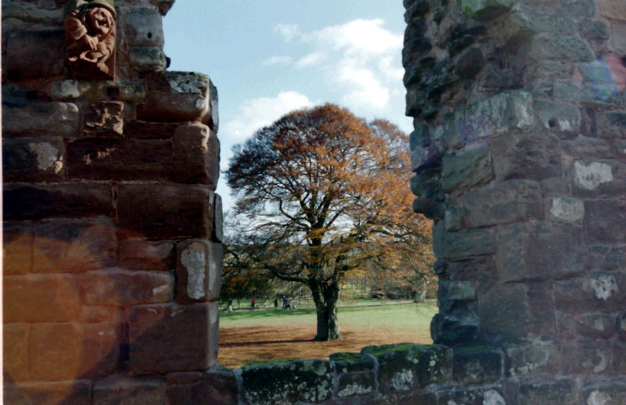 View from the Abbey, Rufford Abbey, Nottinghamshire