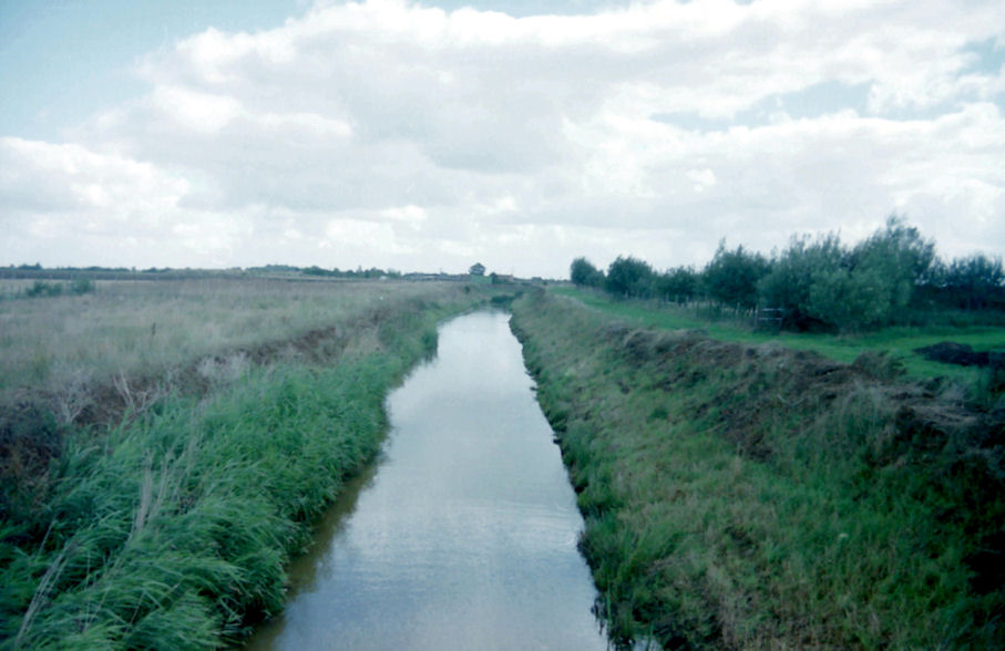 Fenland, Flag Fen, Soke of Peterborough