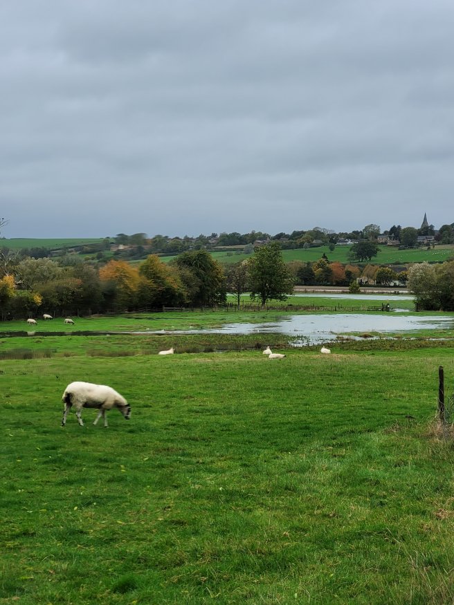 Looking towards Rutland from Harringworth, Northamptonshire