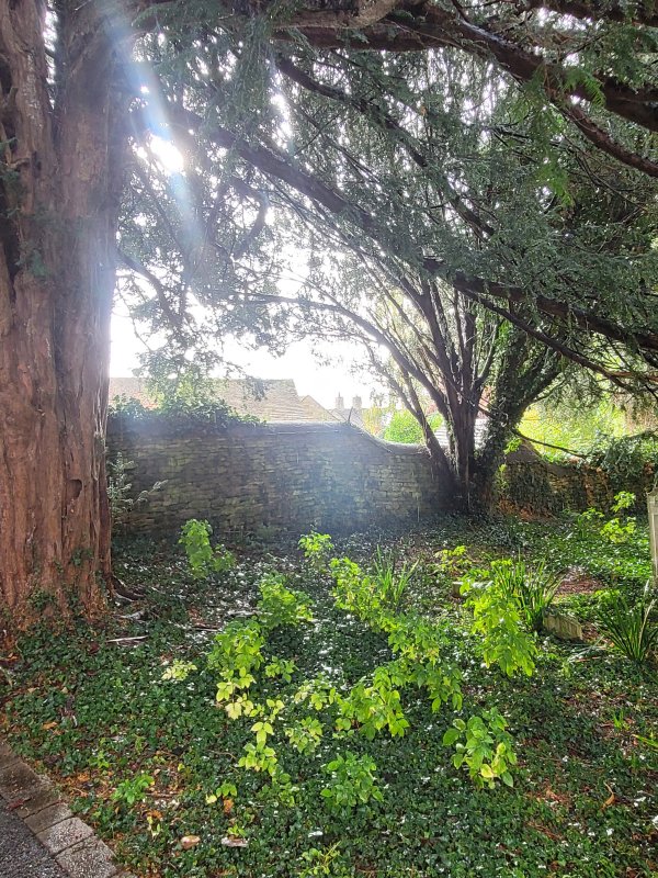 Dappled Autumn Light, Collyweston, Northamptonshire