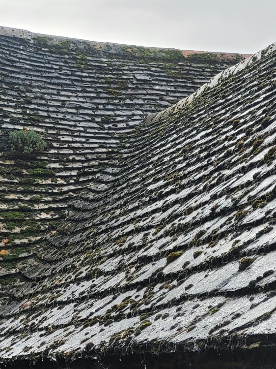 Famous Collyweston Slate on a roof in Collyweston! Northamptonshire