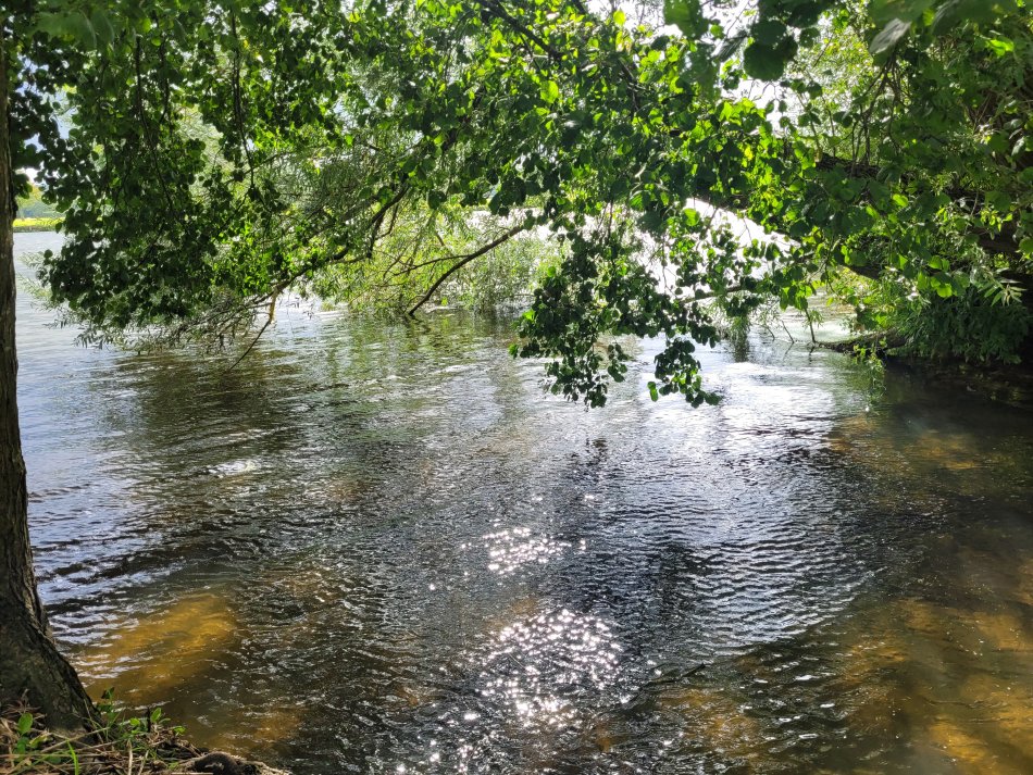 Down by the Thanes, Henley-on-Thames, Oxfordshire