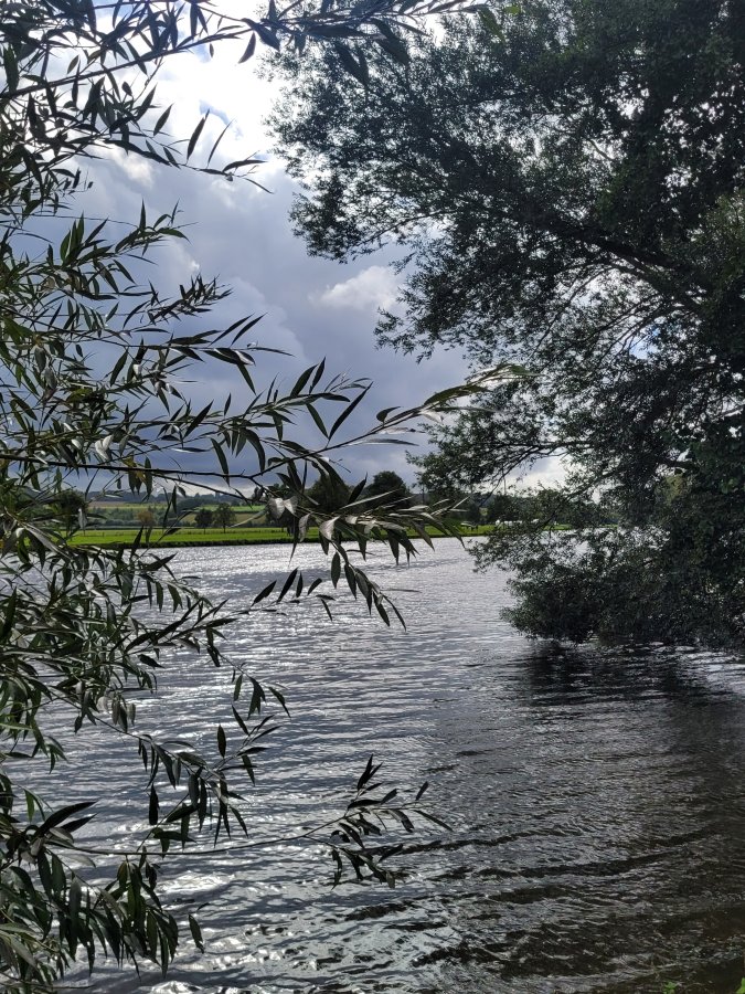By the River Thames, near Henley-on-Thames, Oxfordshire