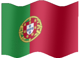 Portuguese Flag