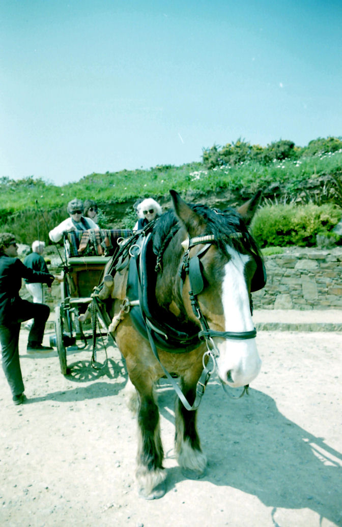 1 Horse Power on Sark, Channel Islands