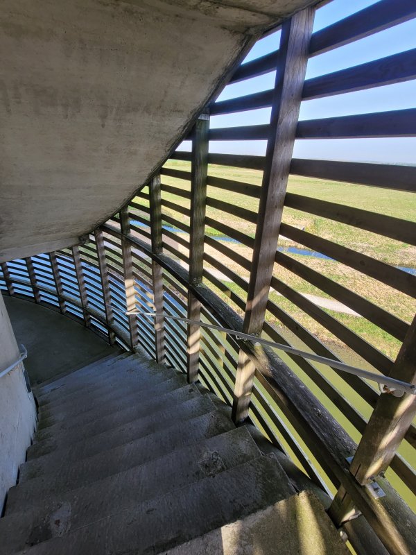 Coming Back Down from the Viewing Tower, Aire de la Baie de Somme, Picardy, France