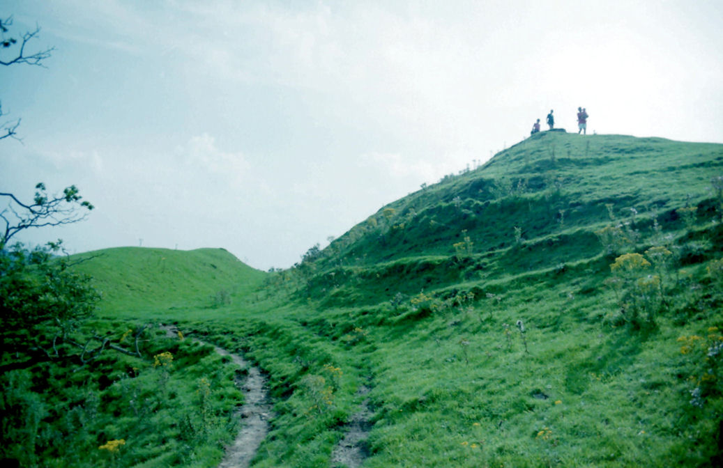 Cadbury Castle, Somerset