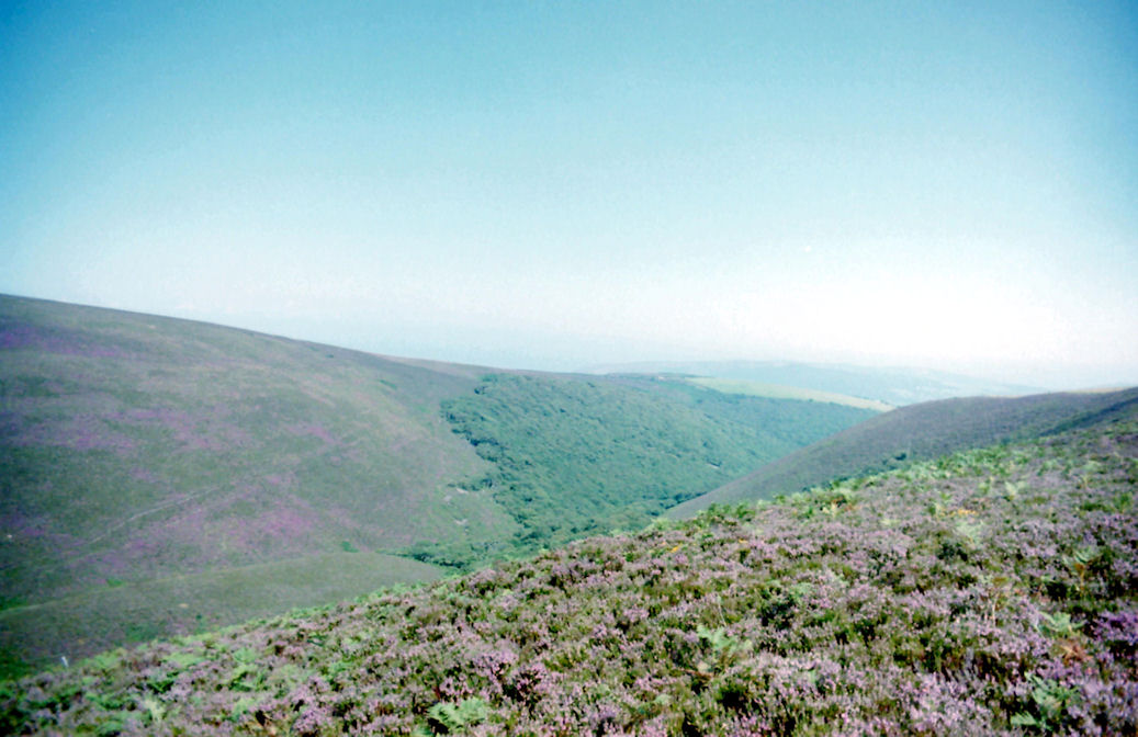 Exmoor view, Somerset