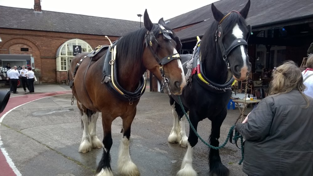 Heavy Horses at the National Brewery Centre, Burton-upon-Trent, Staffordshire