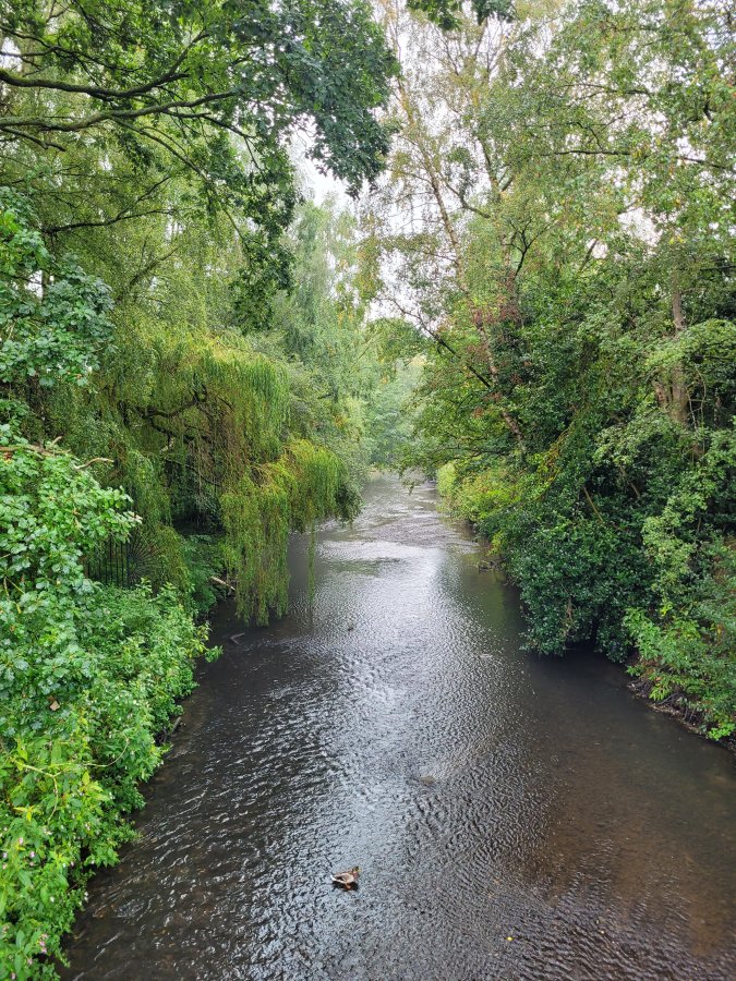 The River Trent at Trentham Gardens, Staffordshire