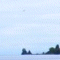 Thumbnail 2008 (2)