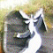Thumbnail 2008 (9)