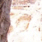 Thumbnail 2009 (6)
