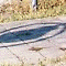 Thumbnail 2009 (33)
