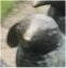 Thumbnail 2024 (13)
