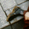 Thumbnail 1986 (18)