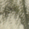 Thumbnail 1986 (17)