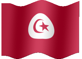 Flying Flag of Tunisia