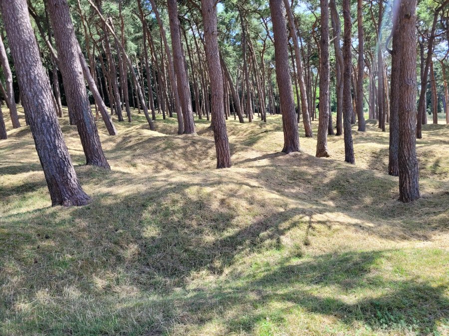 Churned Up Land, Vimy Ridge Battlefield, France