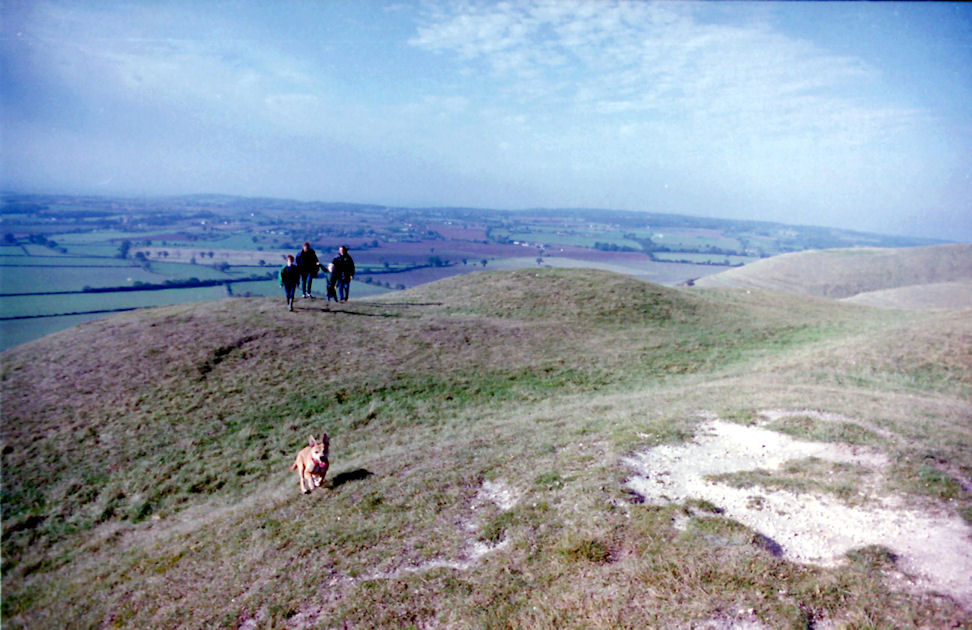 Oliver's Castle, Wiltshire