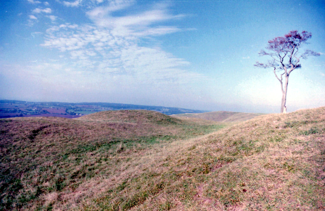 Dramatic Views from Oliver's Castle, Wiltshire