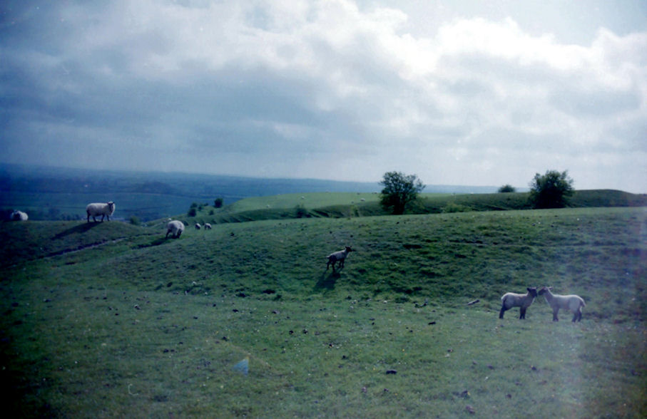 White Sheet Hill, Wiltshire