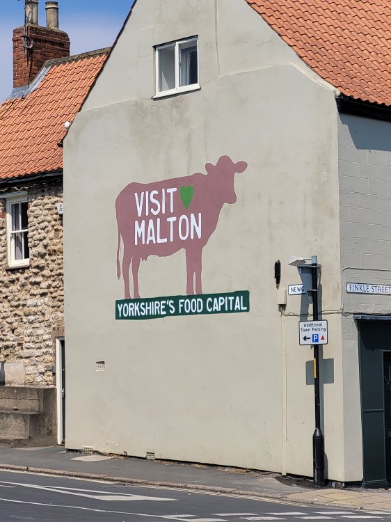 Malton's Cow Mural, North Riding of Yorkshire