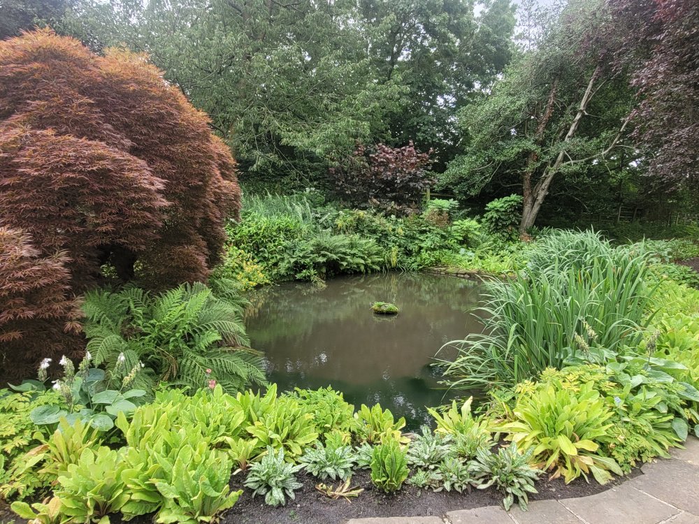 Ornamental Pond, Mount Grace Gardens, North Riding of Yorkshire