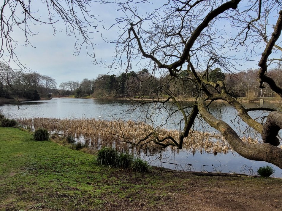 The Middle Lake, Nostell Priory, West Riding of Yorkshire