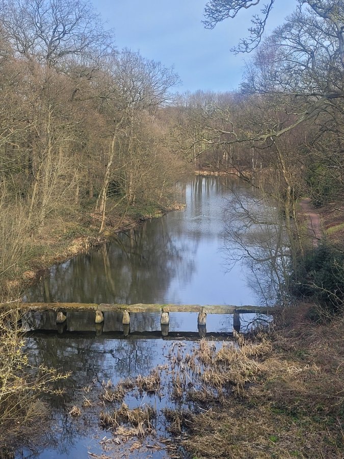 The Lower Lake, Nostell Priory, West Riding of Yorkshire