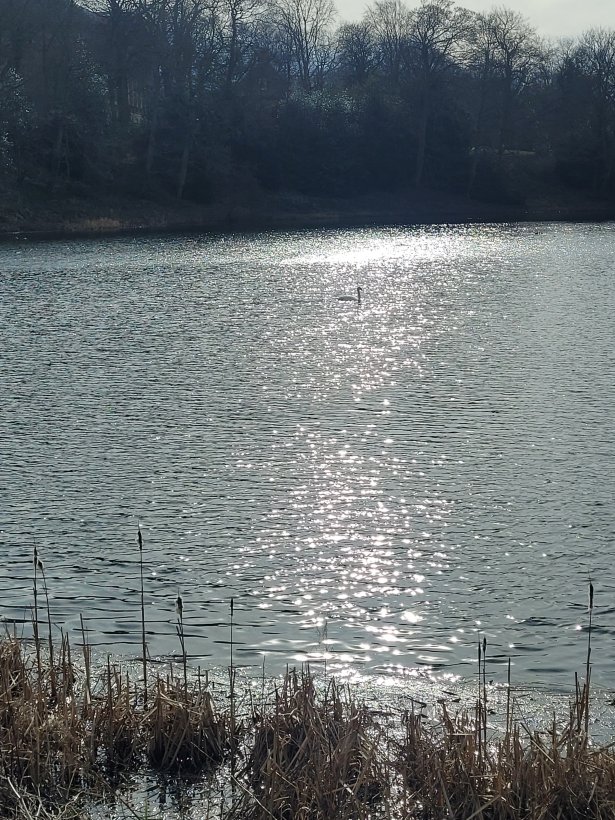 Low Sun on the Middle Lake, Nostell Priory, West Riding of Yorkshire