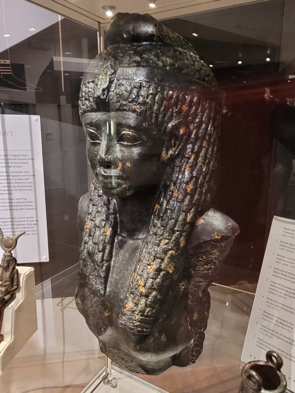 Cleopatra at Barnsley Museum, West Riding of Yorkshire