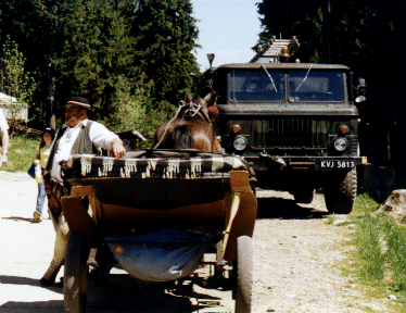Our horse and cart, Zakopane, Poland